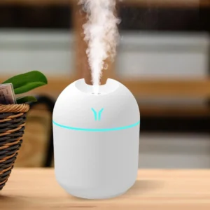 Ultrasonic Air Humidifier with LED